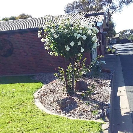 Federation Motel Resort - Corowa Exterior photo